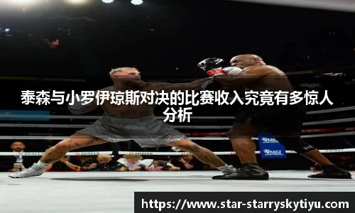 泰森与小罗伊琼斯对决的比赛收入究竟有多惊人分析